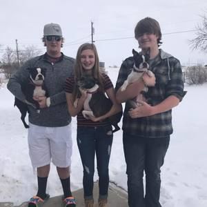 Meet your Posher, Lisa